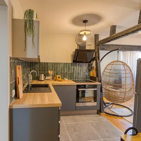 Апартаменты Appartement Le Verdoyant Hyper Centre Avec Parking Et Sauna *