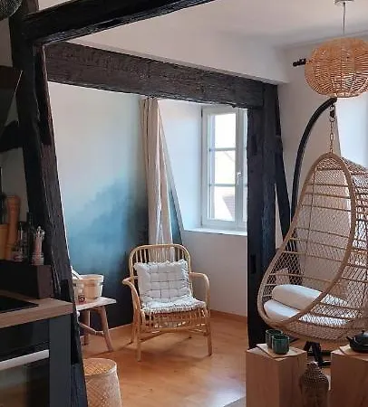 Le Verdoyant Hyper Centre Avec Sauna Apartamento *