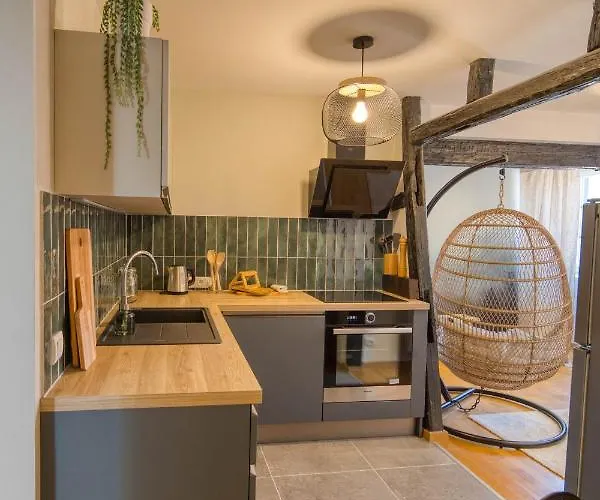 Апартаменты Appartement Le Verdoyant Hyper Centre Avec Parking Et Sauna *