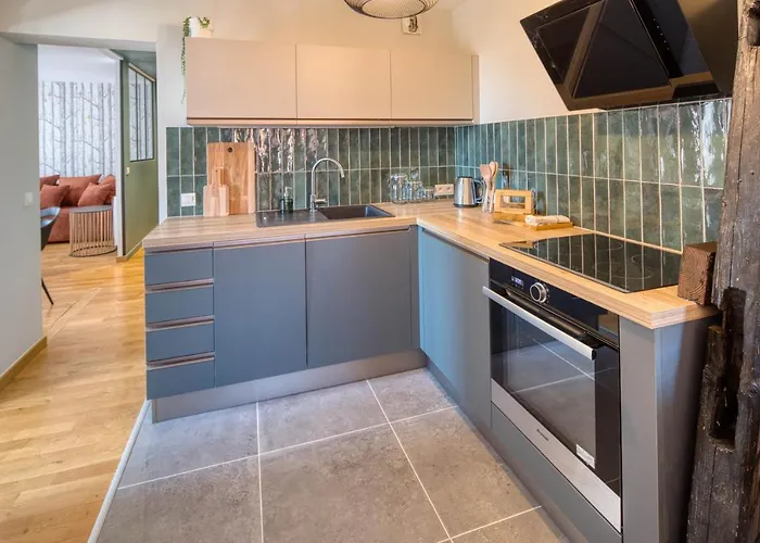 Appartement Le Verdoyant Hyper Centre Avec Parking Et Sauna Апартаменты Кольмар