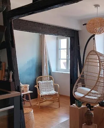 Appartement Le Verdoyant Hyper Centre Avec Parking Et Sauna Апартаменты *